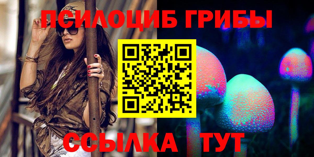 Галлюциногенные грибы Psilocybe  Галлюциногенные грибы Psilocybine cubensis  Ачхой-Мартан  Вход с VPN 
